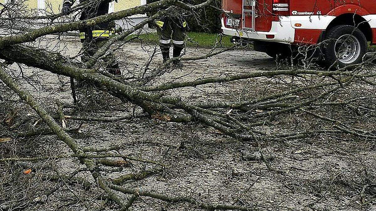 Es wurde mit Hochdruck gearbeitet, um die Straße frei zu bekommen