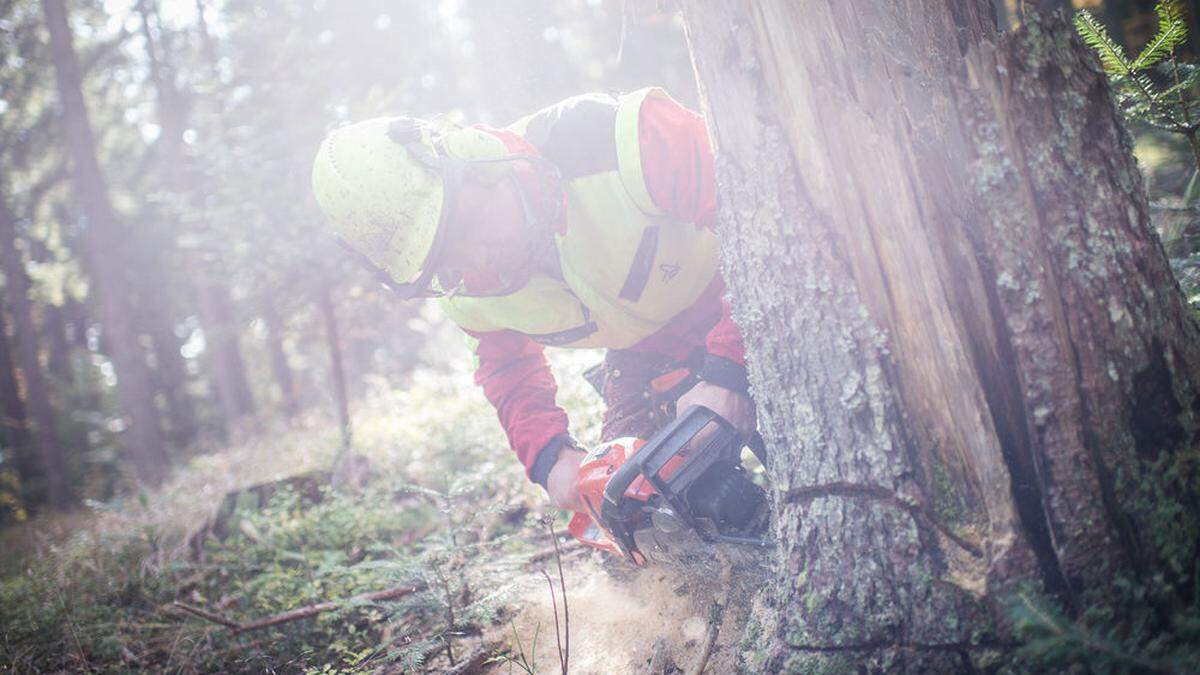 Wieder ein Unfall bei Forstarbeiten in der Steiermark