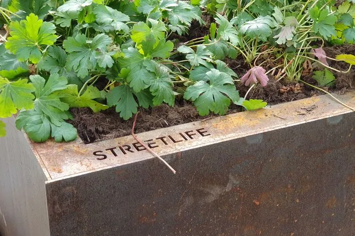 Die Baum- und Pflanzentröge samt Sitzbankerl hat Architekt Nobert Müller im Auftrag der Stadt entworfen.