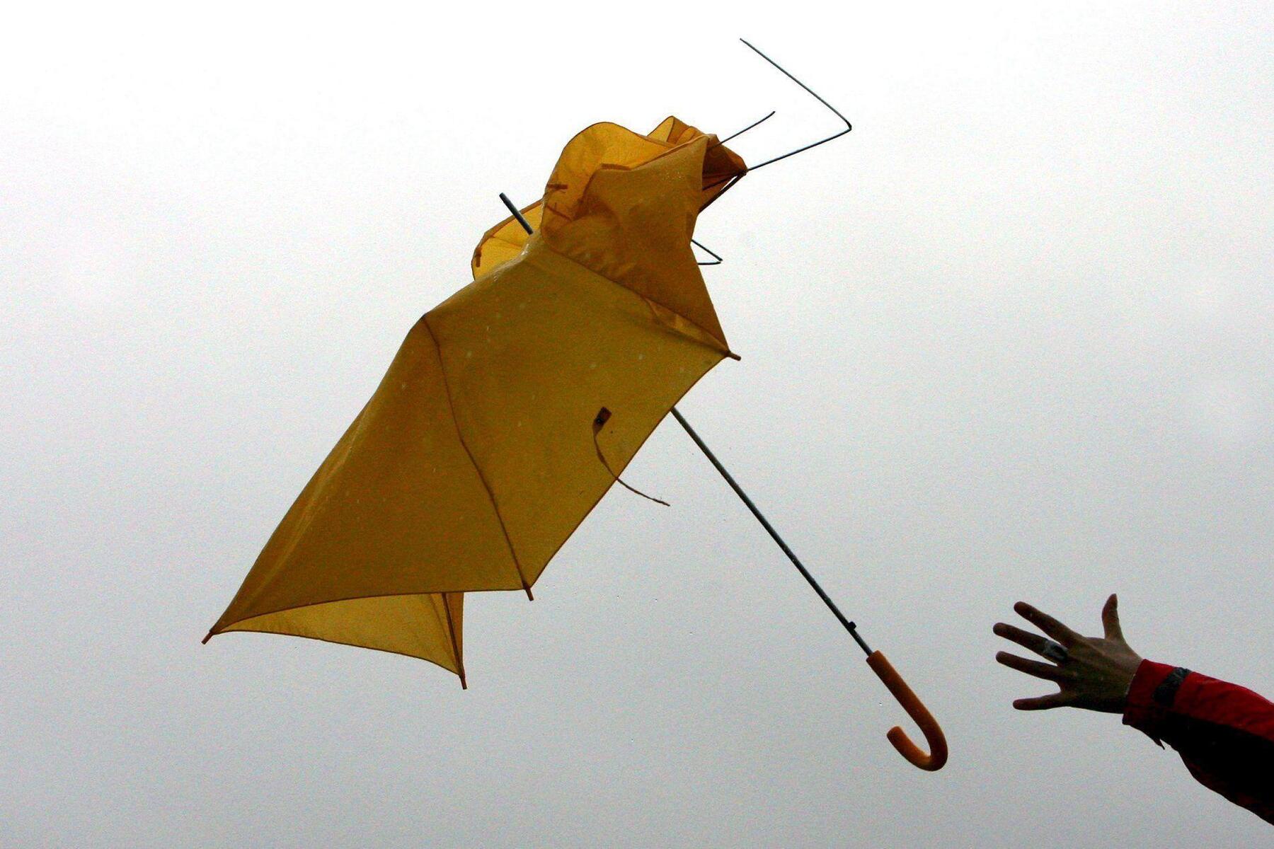Tragischer Unfall: Mann von  herabfallendem Blumenkübel erschlagen