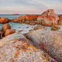 Tasmaniens Ureinwohner zeigen ihre Heimat. Hier die Bay of Fires