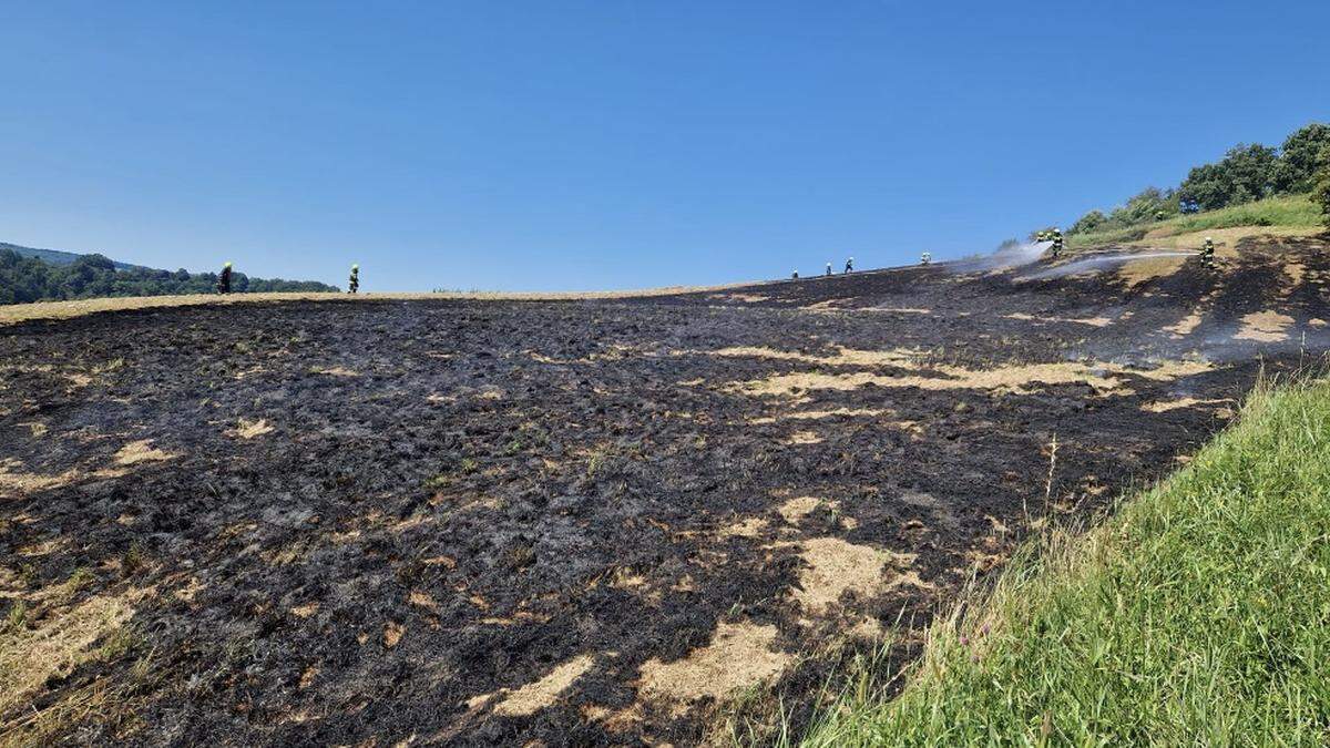 Auf rund einem Hektar Wiesenfläche hatte sich das Feuer ausgebreitet