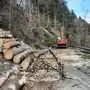 Zahlreiche Bäume wurden am Montag aufgearbeitet. Im Bild: Der Straßenabschnitt beim Waltlwirt
