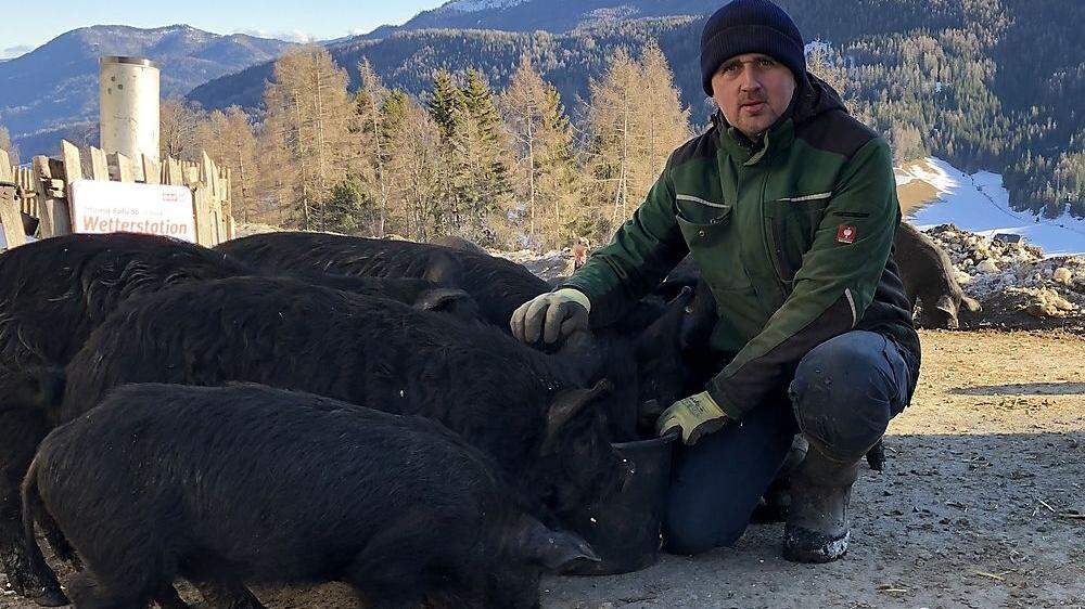 Christian Bachler und seine seltenen Alpenschweine