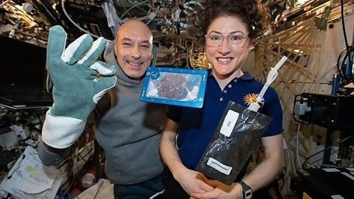 Die Kekse brauchten in der Schwerelosigkeit deutlich länger als im Backofen auf der Erde