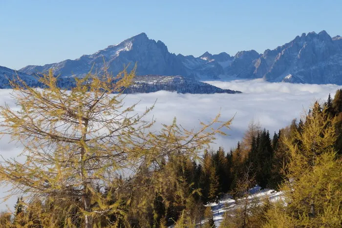 Roland Zlöbl gewährt uns einen Blick ins Lienzer Becken.