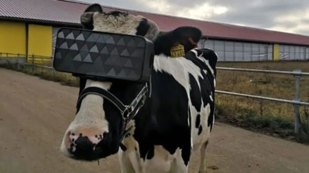 Ziemlich "kuhle" Brille