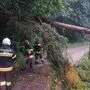 Die FF Kraig musste mehrere Straßen und Wege von umgestürzten Bäumen befreien