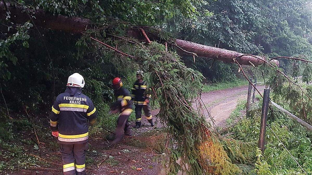 Die FF Kraig musste mehrere Straßen und Wege von umgestürzten Bäumen befreien