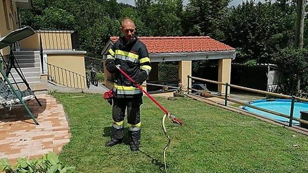 Die Feuerwehr kümmerte sich um das Tier
