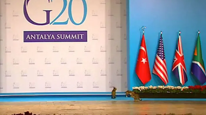Katzen auf der G-20-Bühne