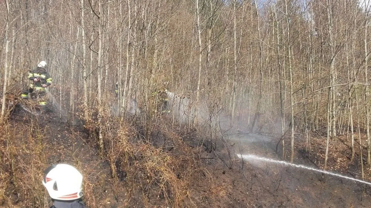 Brandursache ist noch unklar