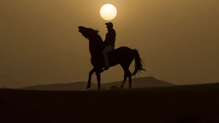 In der Merzouga-Wüste in der südlichen Sahara in Marokko wetteiferten Reiter um die Wette!