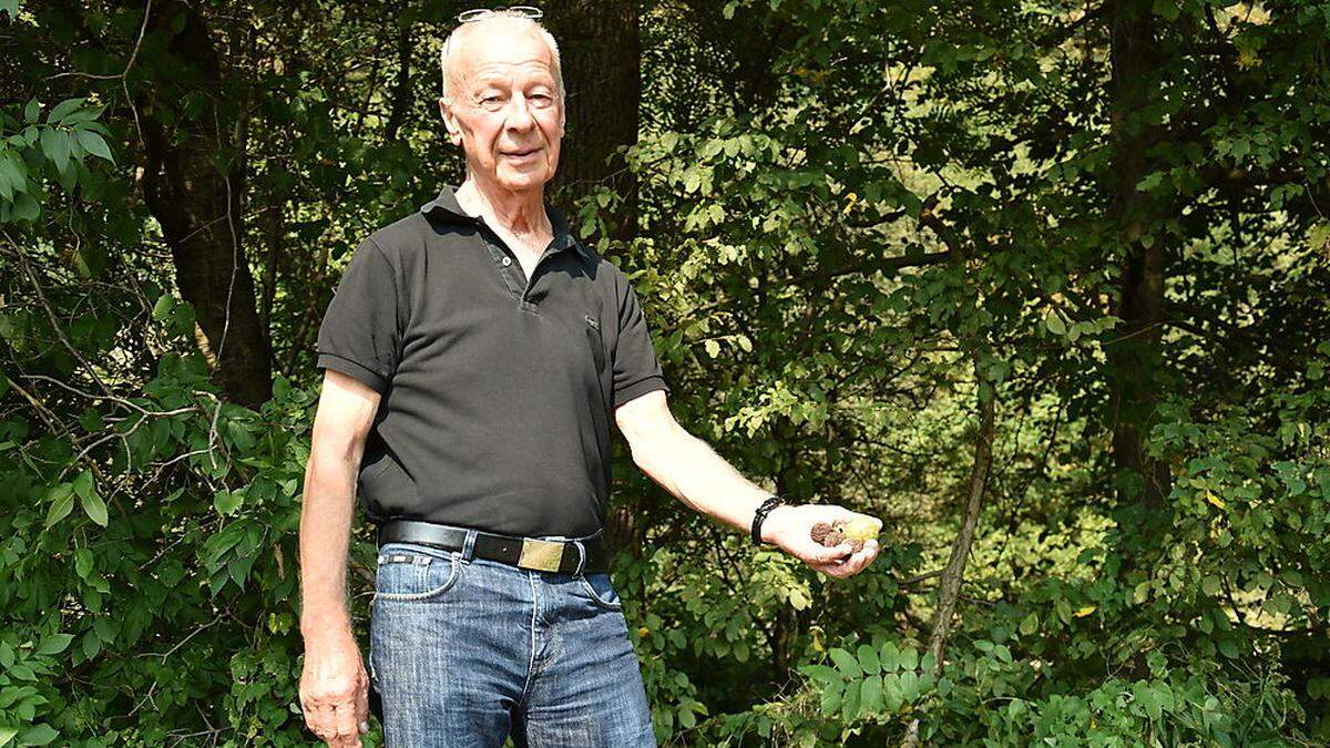 Helge Bretschneider stolperte in den Leibnitzer Sulmauen über einen hierzulande seltenen Schwarznussbaum (im Hintergrund)