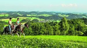 Da geht's lang! im Gebiet der Mühlviertler Alm stehen Reitern rund 700 Kilometer markierte Wege zur Verfügung