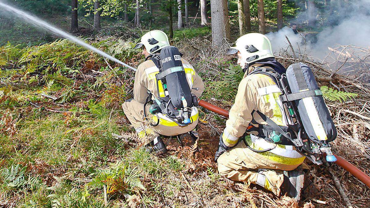 42 Feuerwehrleute bekämpften den Waldbrand (Archivbild)