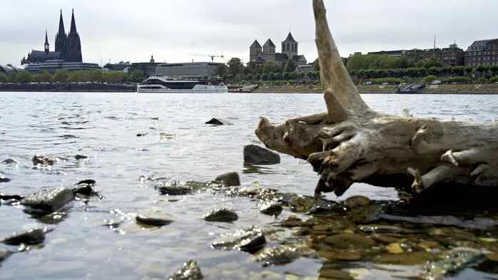 Der Rhein ist in Köln so niedrig wie noch nie. In der Nacht auf Sonntag fiel der Pegel auf nur 45 Zentimeter und damit deutlich unter den bisherigen Tiefststand. Für die Schifffahrt wird das zunehmend zum Problem