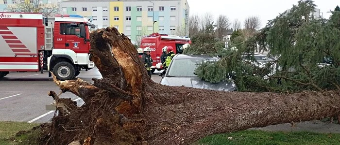 Die Feuerwehr in Pinkafeld musste bereits ausrücken