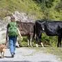 Wanderin mit Hund auf der Alm
