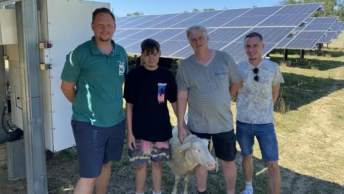 Richard Harb-Kirchsteiger, Simon und Helmut Harb sowie Daniel Harb-Kirchsteiger (v.l.) vermieten Schafe als Rasenmäher. Im Bild: Bei der PV-Anlage in Gosdorf, die von Wien Energie betrieben wird