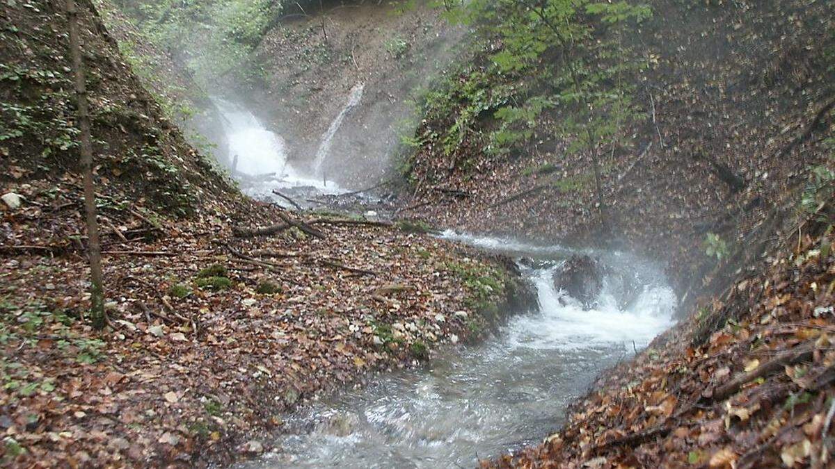 Ein Rückhaltebecken soll im Bereich des temporär fließenden Hungerbachs errichtet werden. Derzeit fließt dort kein Wasser