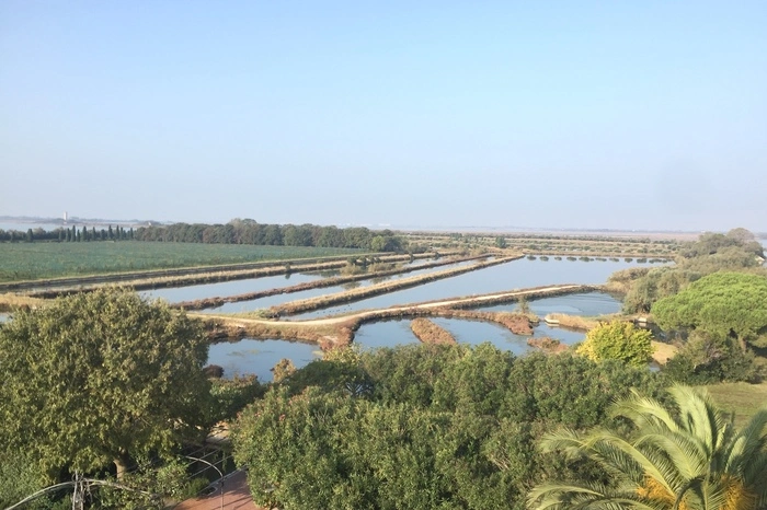 Blick von der Dachterrasse der Villa Ammiana auf die rund 30 Hektar große Insel in der Lagune Venedigs.