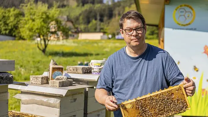 Ein Mann hält einen Stock voller Bienen in den Händen und blickt in die Kamera