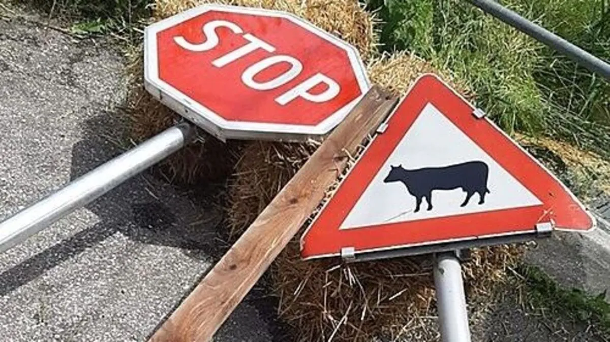 Diese Verkehrsschilder mussten aus dem Teich gefischt werden