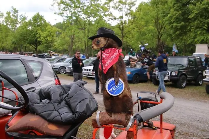 Die Prämierung von ausgestopften Tiere in kreativen Posen hat hier schon Tradition. 