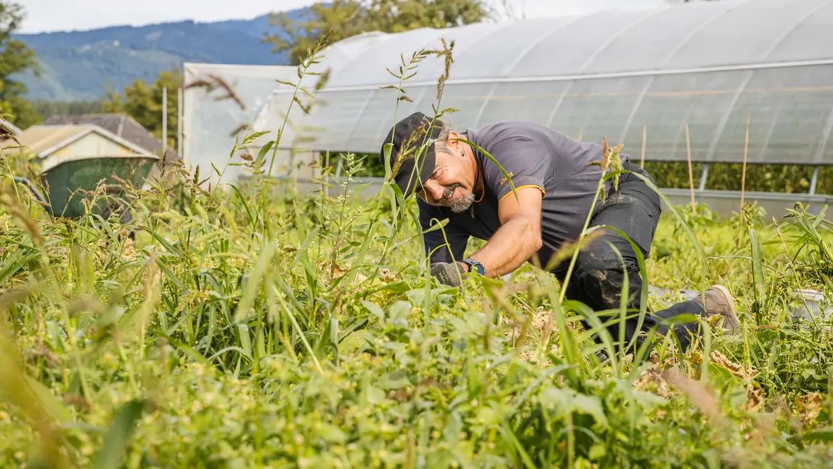 Der "welt.garten" beim Kloster Wernberg bietet Langzeitarbeitslosen Beschäftigung