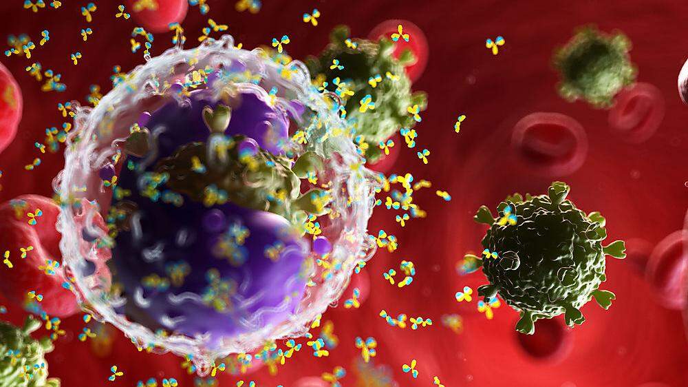 Die Immunantwort besteht aus unterschiedlichen Teilen, Antikörper sind nur einer davon, T- und B-Zellen ein anderer