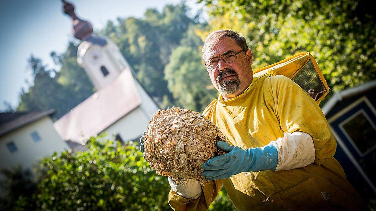 Friedrich Kach, bekannt als „Insektenfritz“ übersiedelt seit 29 Jahren ganze Hornissenvölker