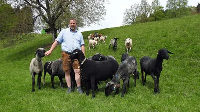 Christian Mörtl mit seinen Schafen