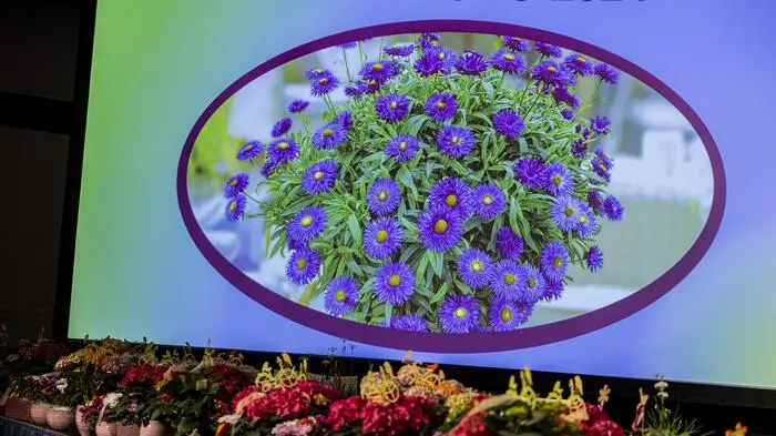Regional- und Landessieger wurden am Sonntag in Congress Center Pörtschch geehrt, ebenso TeilnehmerInnen des Generationenbewerbes und des Bewerbes Kind & Garten