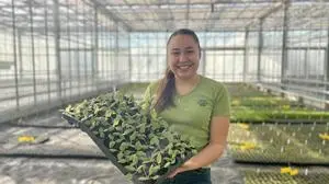 Die 17-jährige Leonie Reiterer aus Preding absolviert ihre Lehre zur Facharbeiterin im Gartenbau in der „Versuchsstation für Spezialkulturen“ in Wies