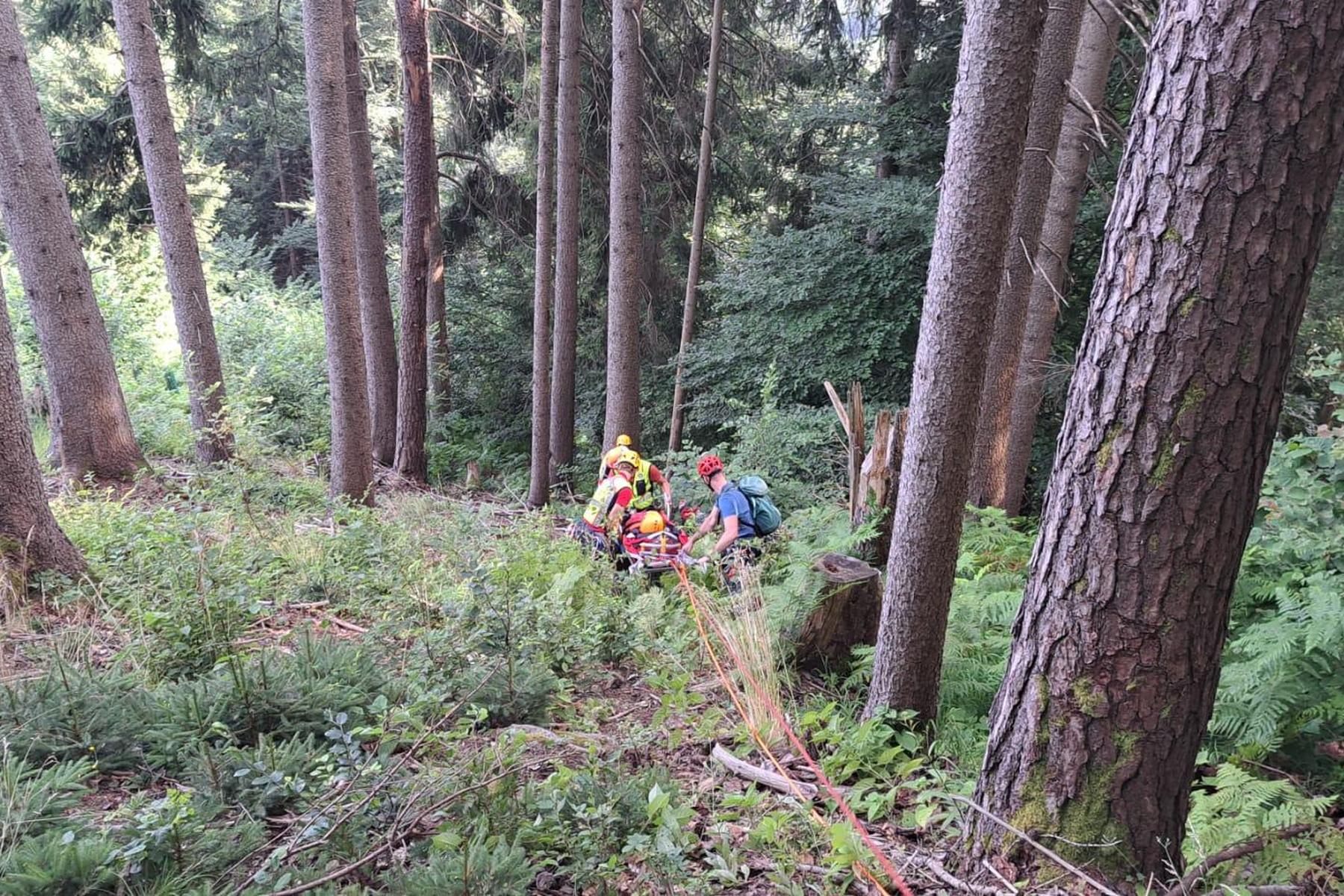 Lebensrettung in Kärnten  : Schwammerlsucher fanden Vermisste: „Hörten plötzlich ein Wimmern“ 