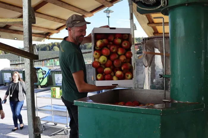 Bis zu 60 Prozent Saftausbeute (je nach Sorte und Qualität unterschiedlich) sind mit der Anlage möglich. Nachdem das Obst gewaschen und durch den Muser gelaufen ist, wird die entstandene Maische in Holzrahmen gefüllt.