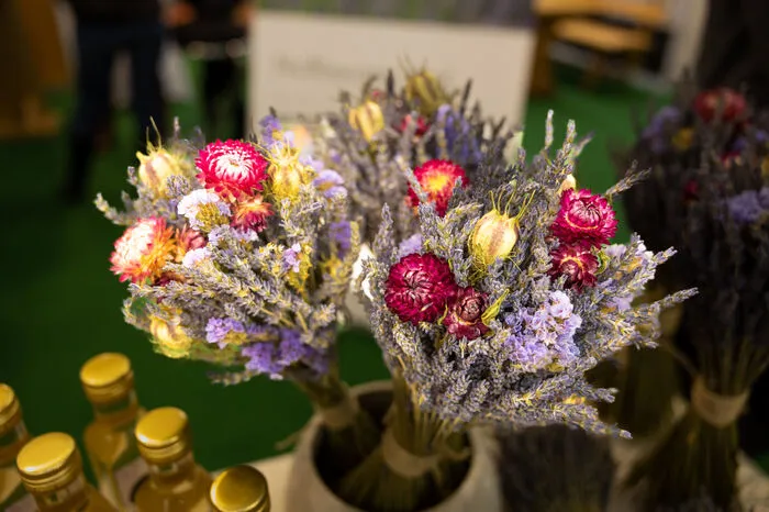 Trockenblumen für den Winter