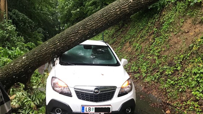 Ein entwurzelter Baum stürzte heute früh auf das Auto einer dreiköpfigen Familie