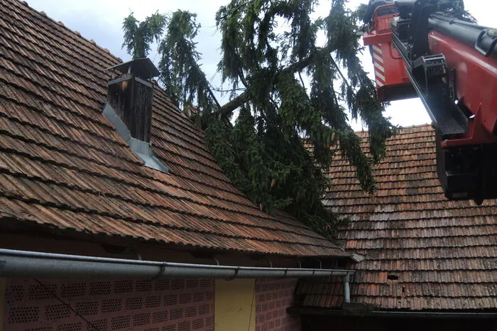In Mureck stürzte ein Baum auf ein Wirtschaftsgebäude. Er musste von der Feuerwehr entfernt werden.