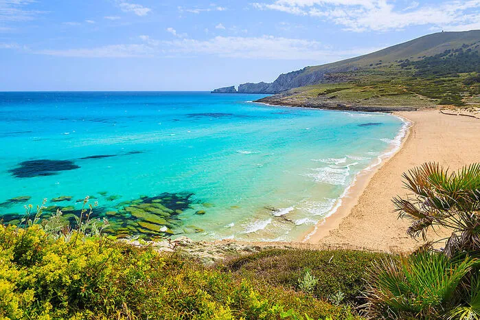Interessante Namenskunde: Wer schon immer darüber nachdachte, woher der Name der Insel kommt: Er stammt vom Lateinischen ab und bedeutet schlicht und einfach so etwas wie „die größere“ (Insel). Das Gegenstück ist die Nachbarinsel Menorca, „die kleinere“. Relativ einfach erklären lassen sich auch die Namen bekannter Buchten und Strände. Neben der Cala Bona liegt die bei Besuchern überaus bekannte Cala Millor. Die Übersetzung: Erstere heißt so viel wie „gute Bucht“ – letztere „bessere Bucht“.