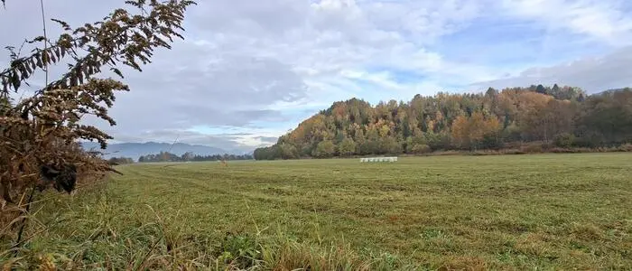 Im ehemaligen Bergbaugebiet soll die PV-Anlage gebaut werden