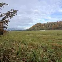 Im ehemaligen Bergbaugebiet soll die PV-Anlage gebaut werden