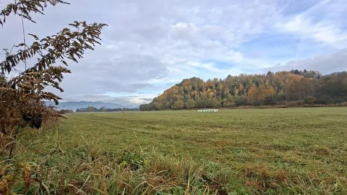 Im ehemaligen Bergbaugebiet soll die PV-Anlage gebaut werden