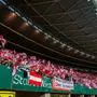 VIENNA,AUSTRIA,04.JUN.24 - SOCCER - OEFB international friendly match, Austria vs Serbia. Image shows fans of AUT.
Photo: GEPA pictures/ Edgar Eisner