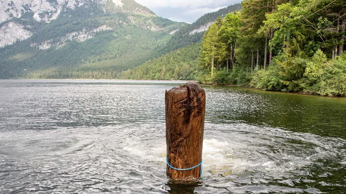 Bergung der rund 6 Tonnen schweren Uralt-Tanne aus dem Altausseer-See 