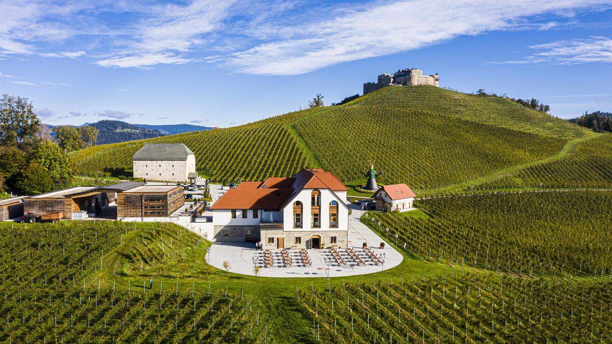 45 Hektar umfasst der Weinbau auf Taggenbrunn