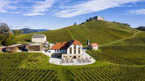 45 Hektar umfasst der Weinbau auf Taggenbrunn