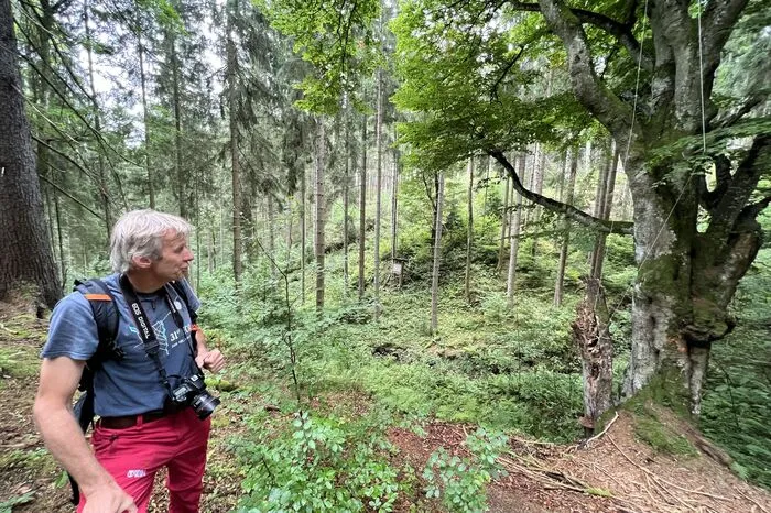 Mehr als 30 Forscher sind an diesem Projekt beteiligt. Im Bild: Christian Komposch vor Ort.