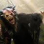 Sujetbild: Krampusse haben es heuer schwer.